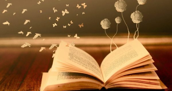кнј олимпијада